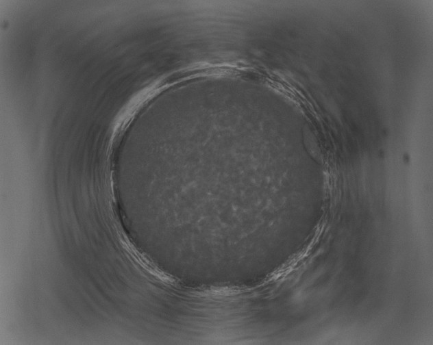 X0000078290149200611031240