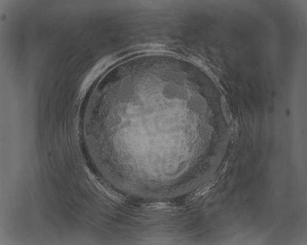 X0000078290151200611031240