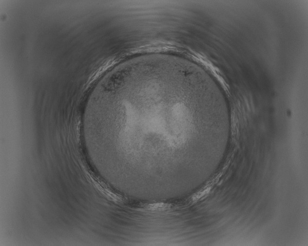 X0000078290153200611031240