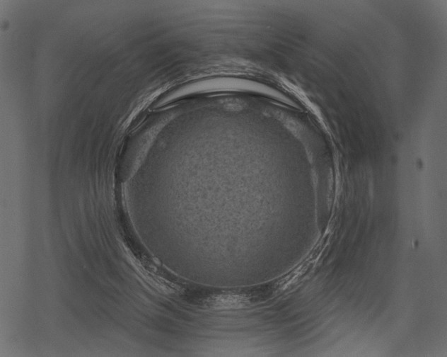 X0000078290154200611031240