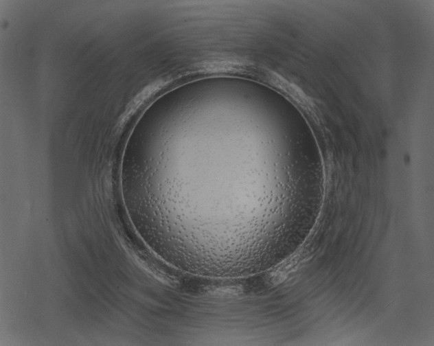 X0000078290155200611031240