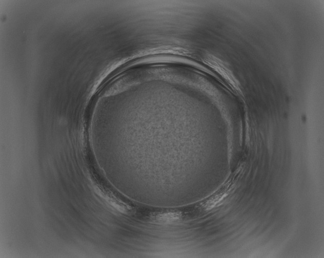 X0000078290156200611031240