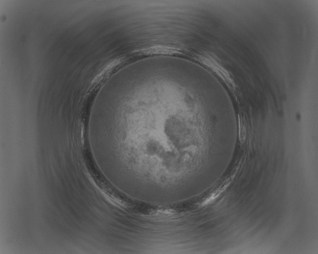 X0000078290157200611031240