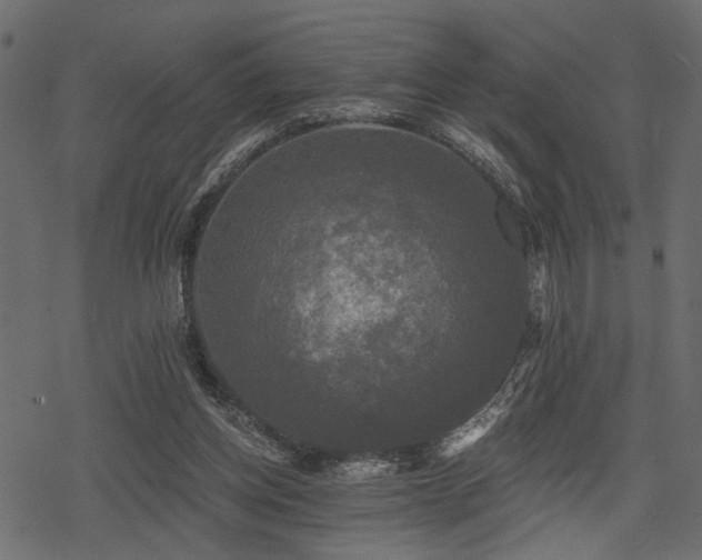 X0000078290158200611031240