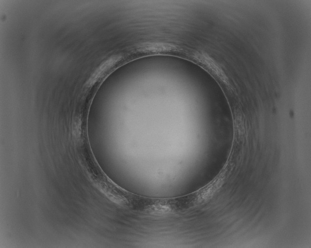 X0000078290159200611031240