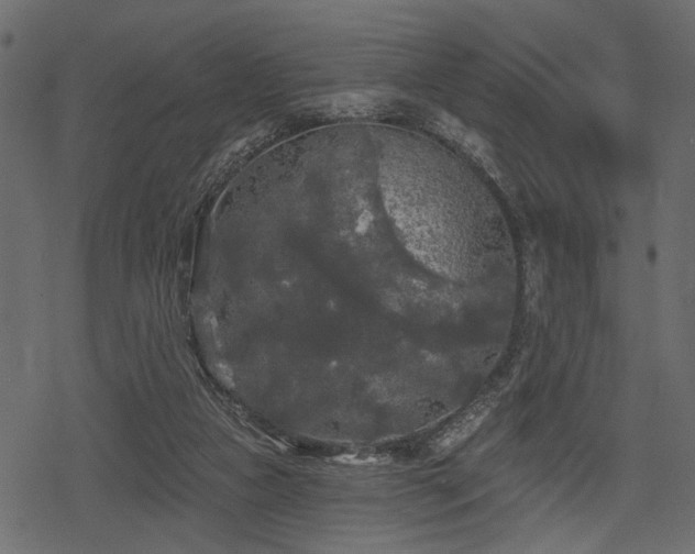 X0000078290161200611031240