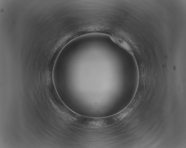 X0000078290164200611031240