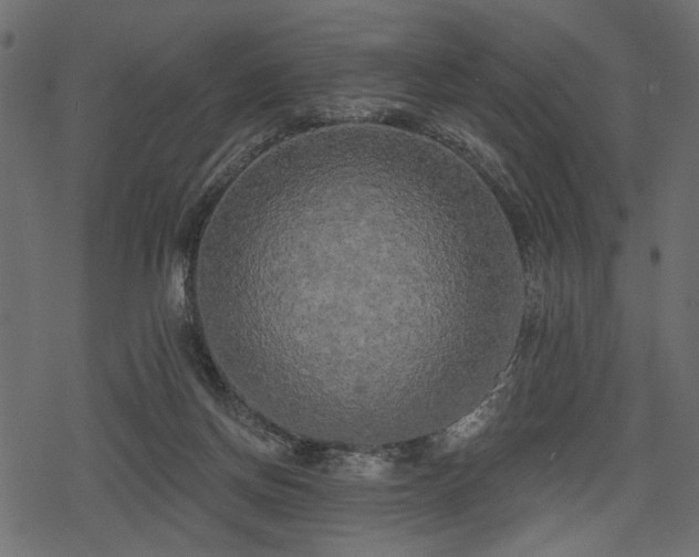 X0000078290166200611031240