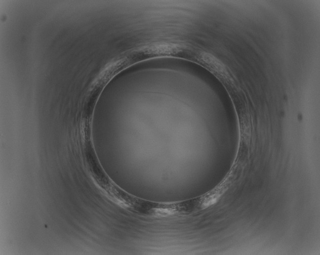 X0000078290167200611031240