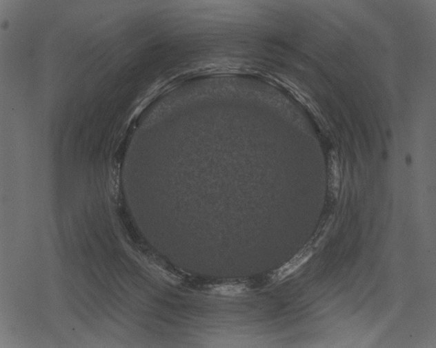 X0000078290168200611031240