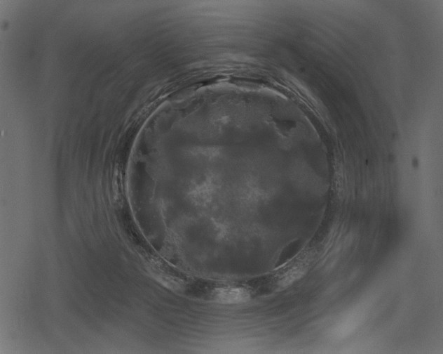 X0000078290169200611031240