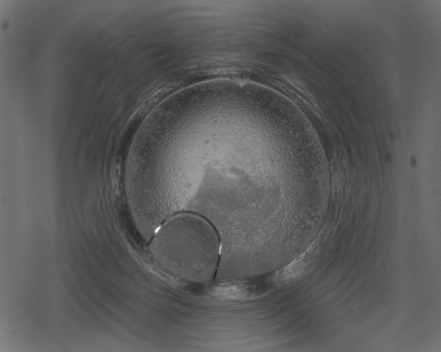 X0000078290171200611031240