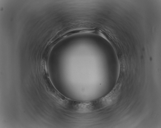 X0000078290172200611031240