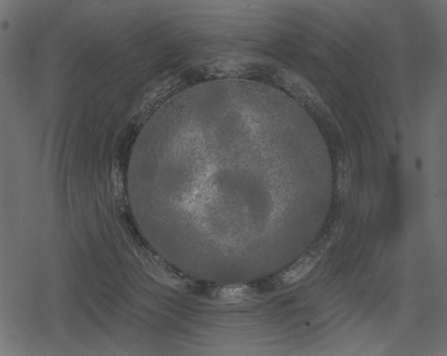 X0000078290173200611031240