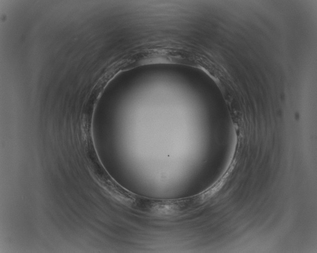 X0000078290174200611031240