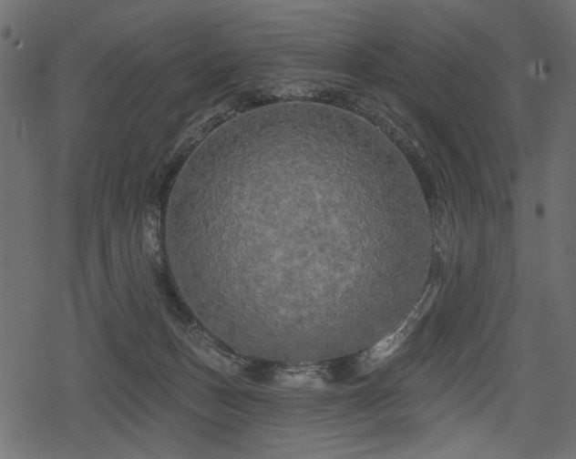 X0000078290175200611031241