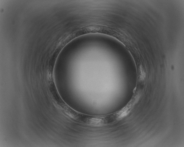 X0000078290176200611031241