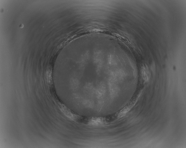 X0000078290177200611031241