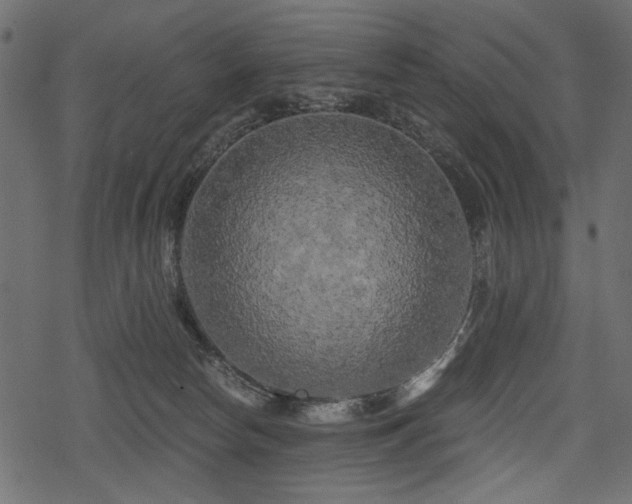 X0000078290178200611031241