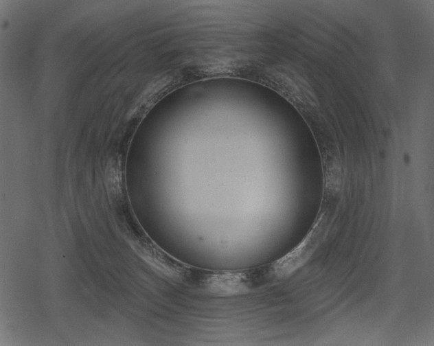 X0000078290179200611031241