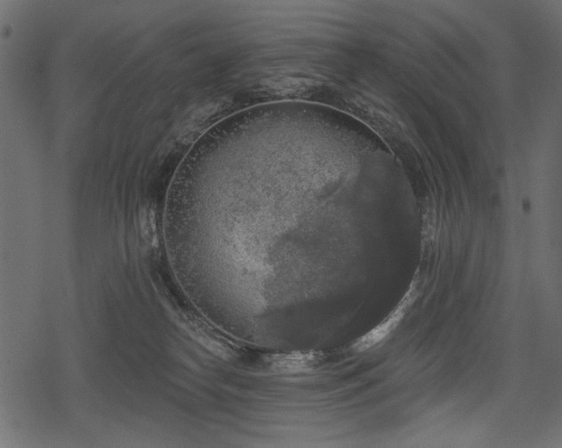 X0000078290182200611031241