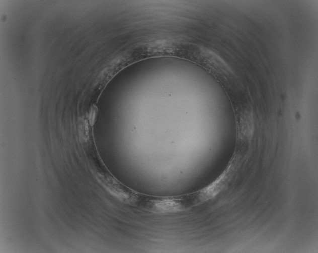 X0000078290183200611031241