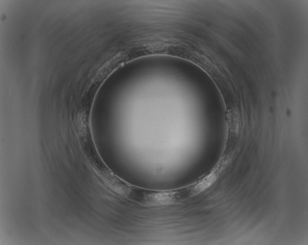 X0000078290184200611031241