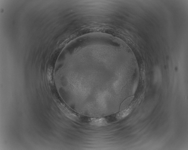 X0000078290185200611031241