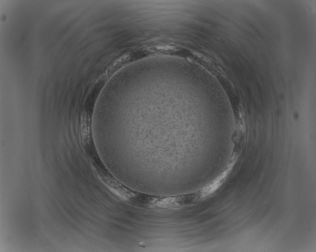 X0000078290186200611031241