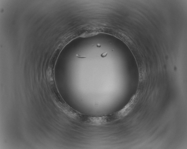 X0000078290187200611031241