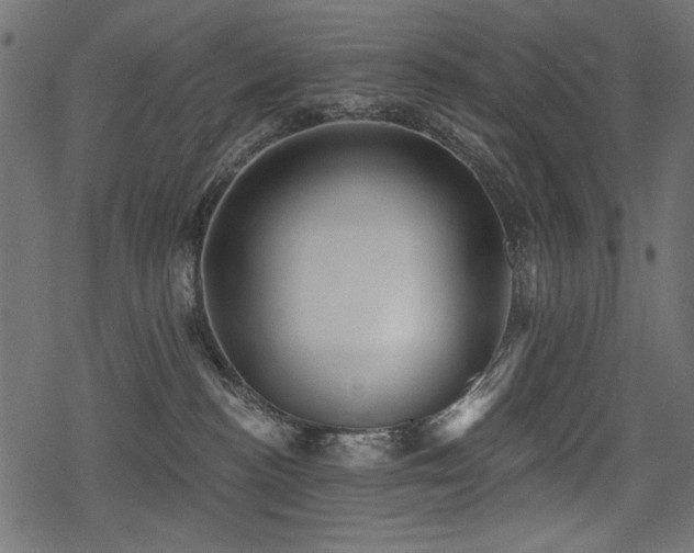 X0000078290188200611031241