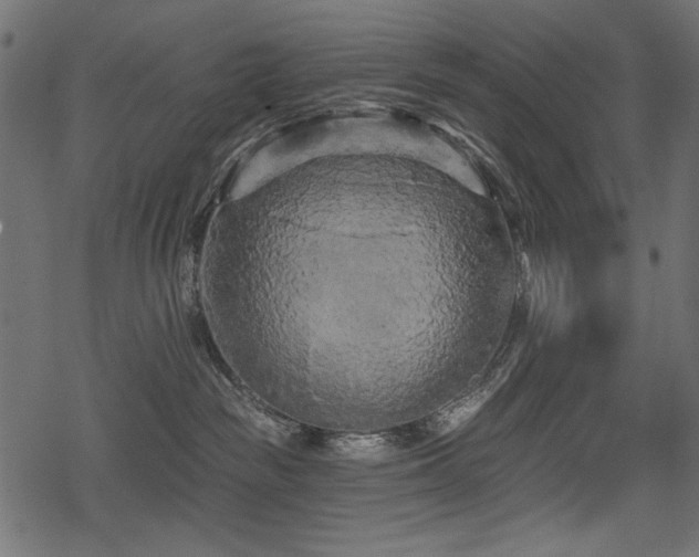 X0000078290189200611031241