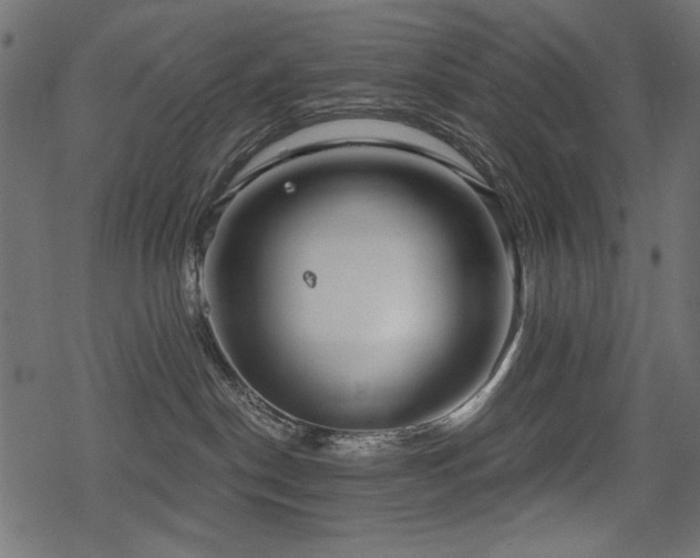 X0000078290190200611031241