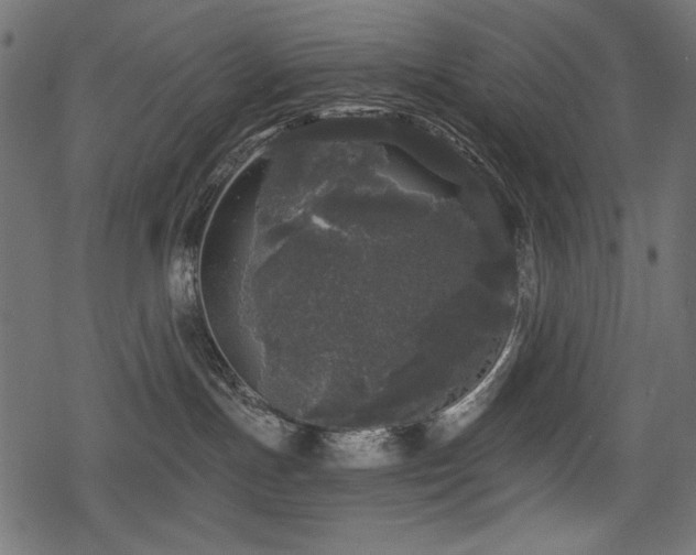 X0000078290191200611031241