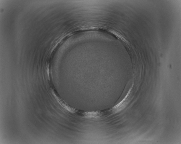 X0000078290192200611031241