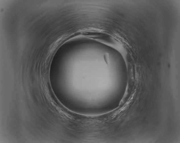 X0000078290193200611031240