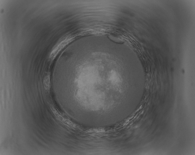 X0000078290194200611031240