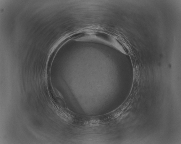 X0000078290196200611031240