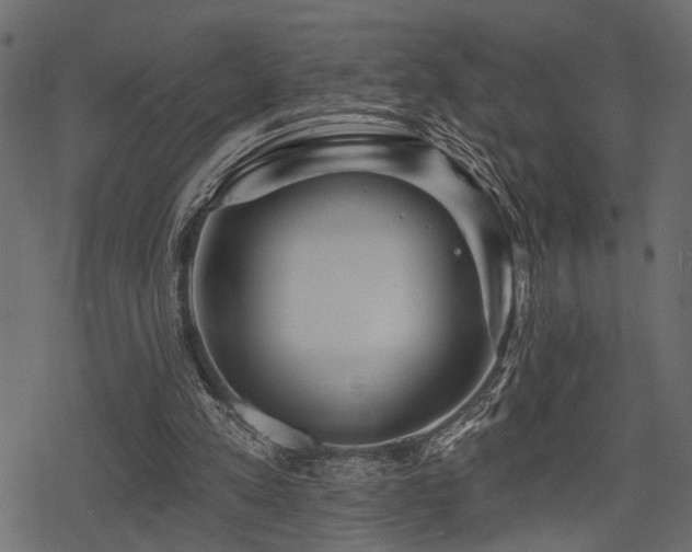 X0000078290197200611031240