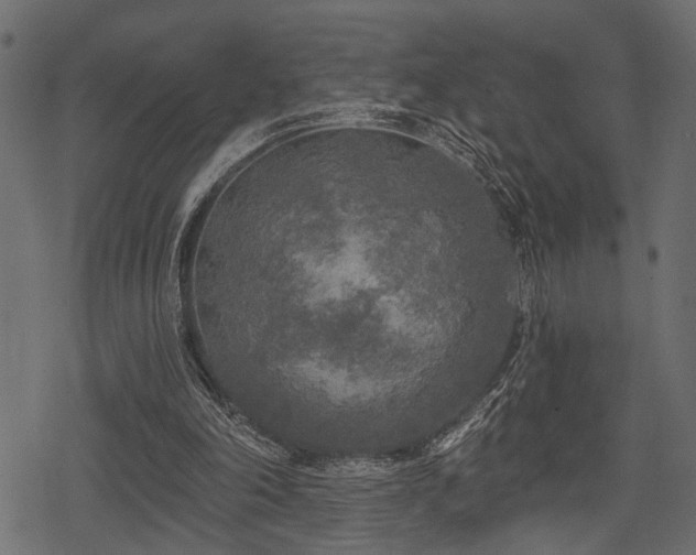 X0000078290198200611031240