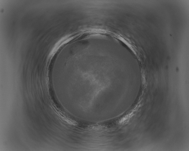 X0000078290199200611031240