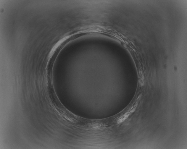 X0000078290200200611031240