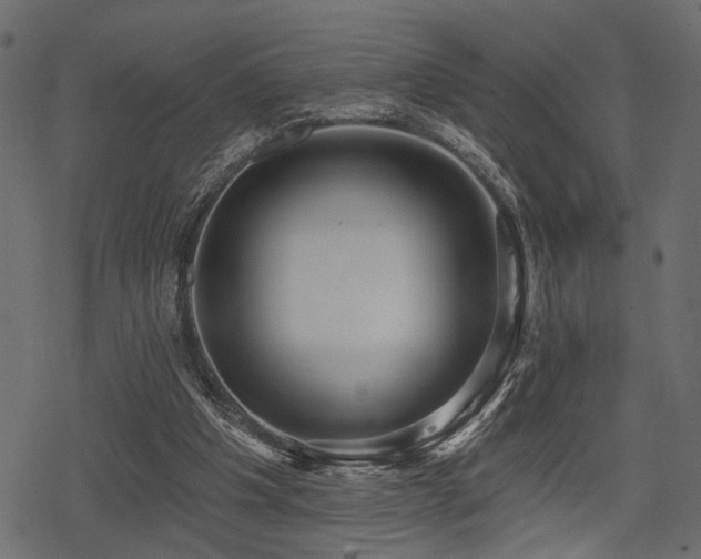 X0000078290201200611031240