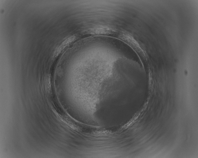 X0000078290202200611031240