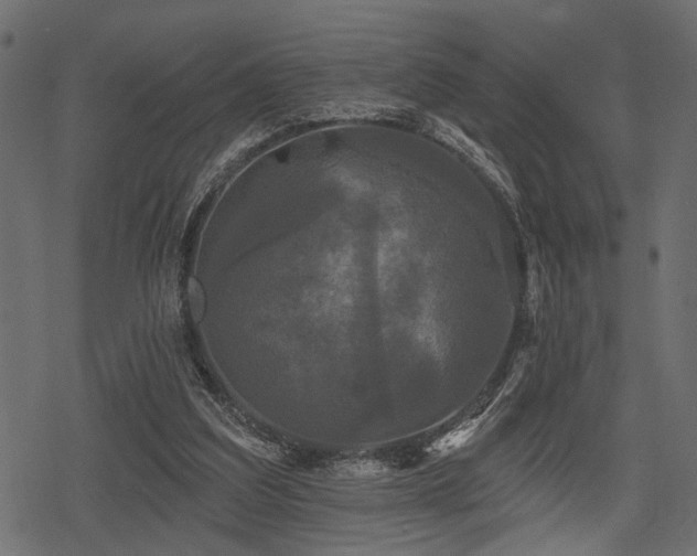 X0000078290203200611031240