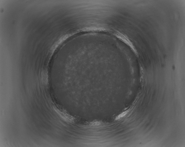 X0000078290204200611031240