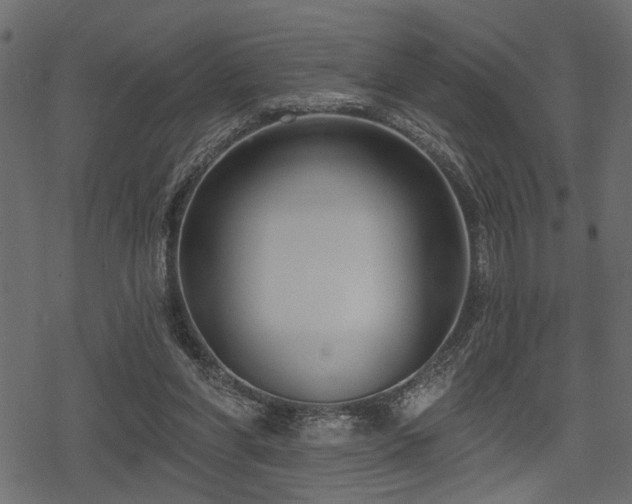 X0000078290206200611031240