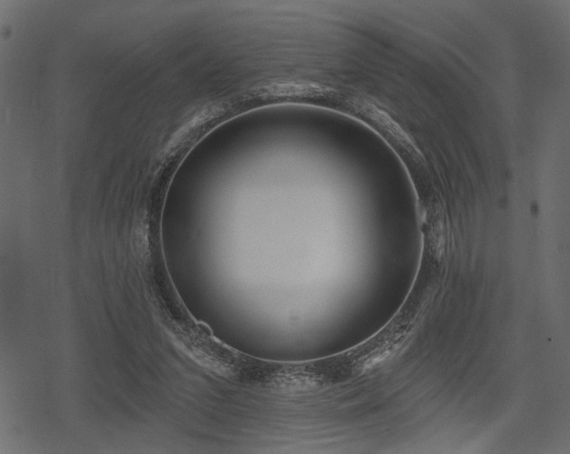 X0000078290207200611031240