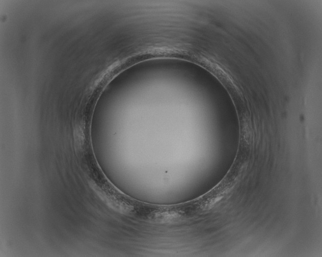 X0000078290208200611031240