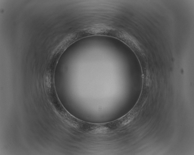 X0000078290210200611031240